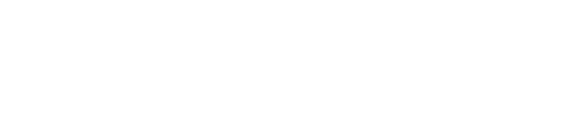 Oficjalne logo marki Boostique