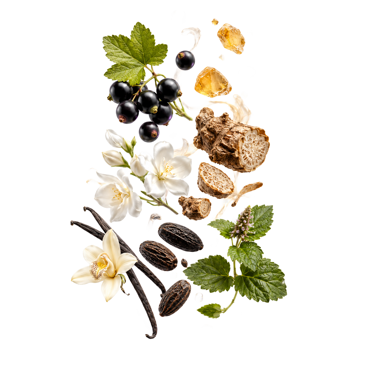 Sweet Essence składniki